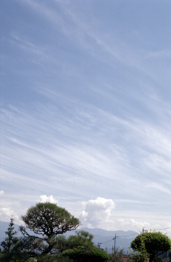 淡い雲