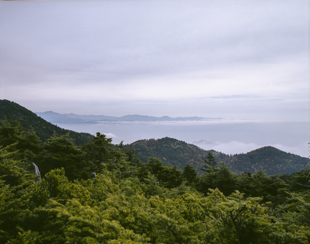 摺古木山で #2