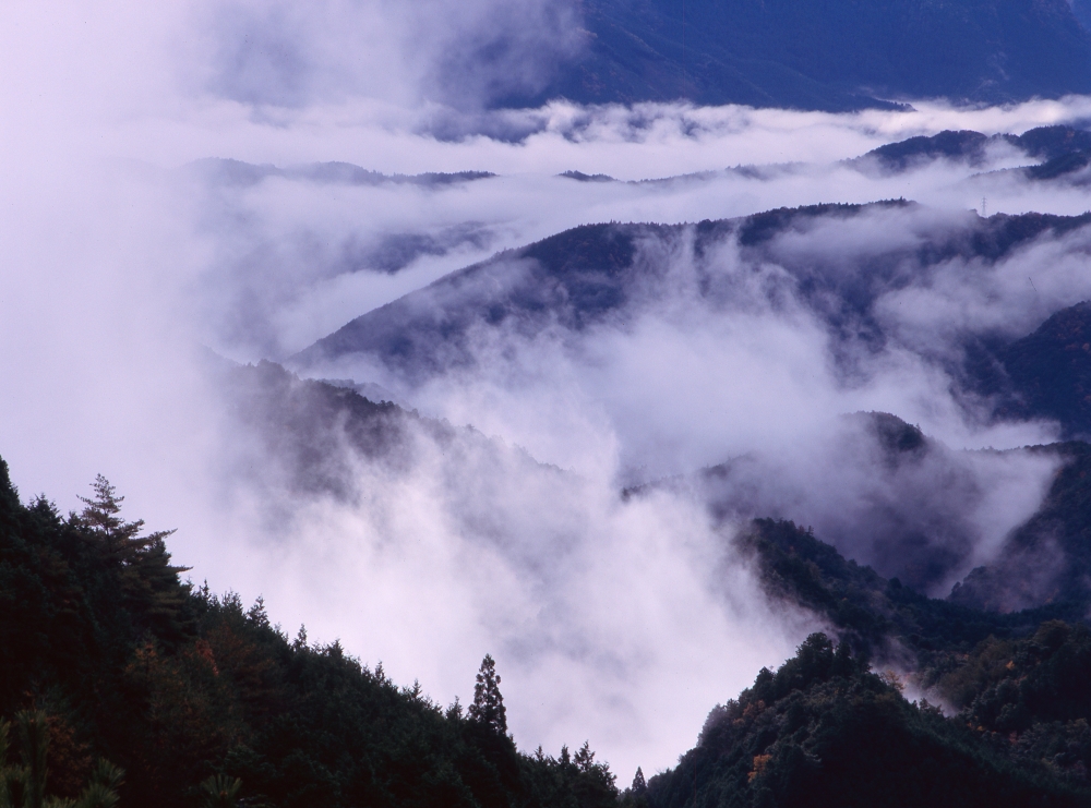 飛沫