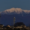 仕事納め