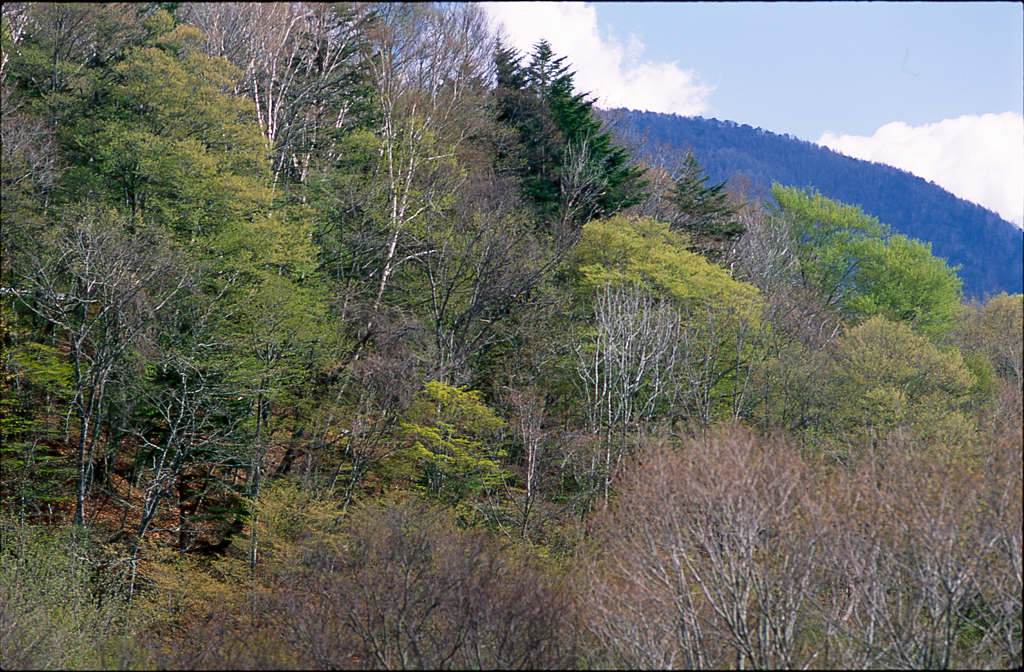 GWの里山景色