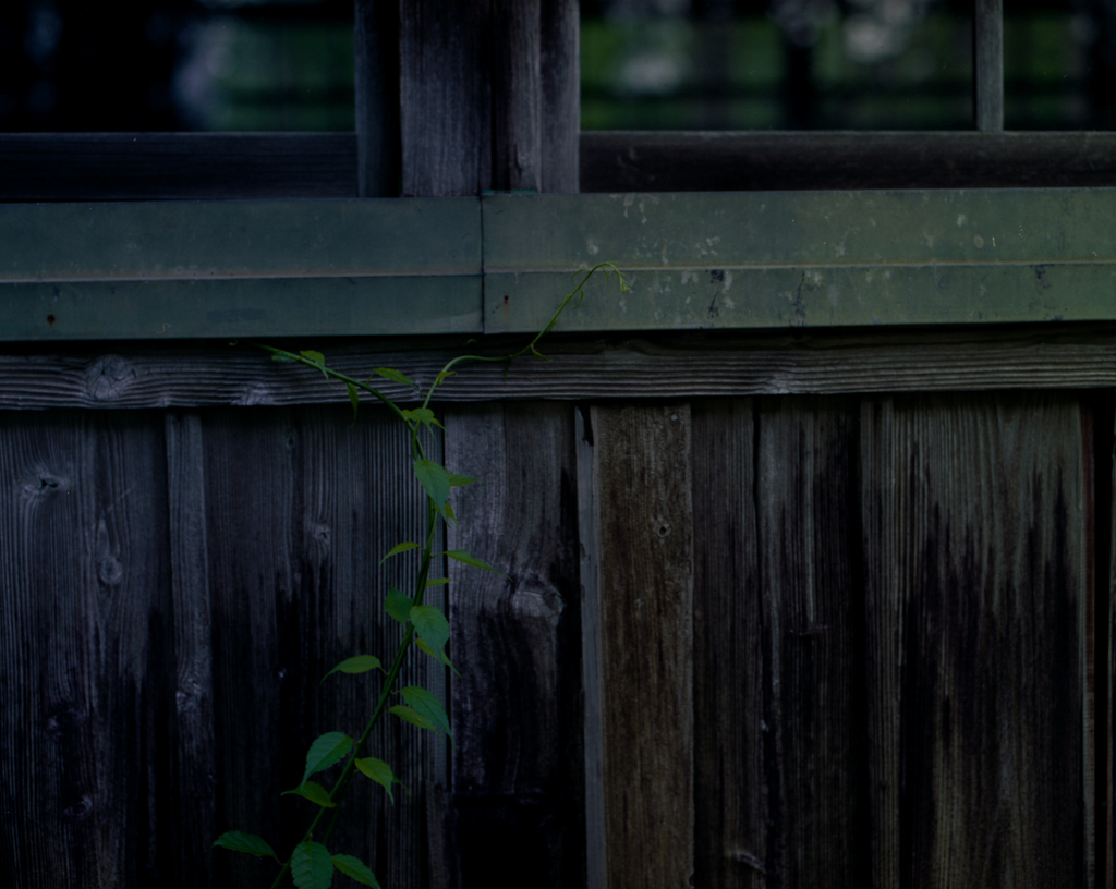 sometime #5