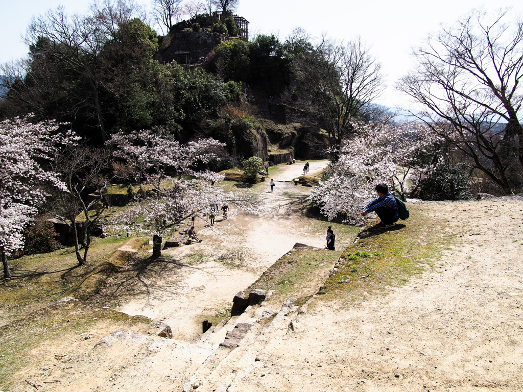 苗木城跡