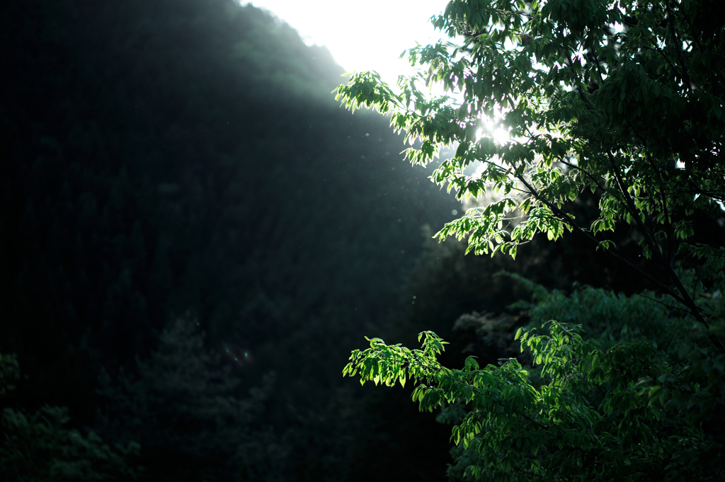 燦々