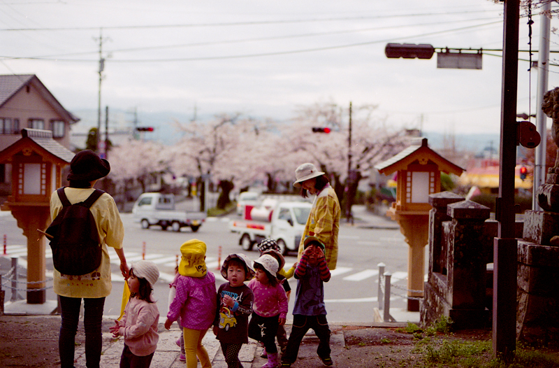 桜の時間
