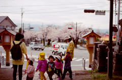 桜の時間