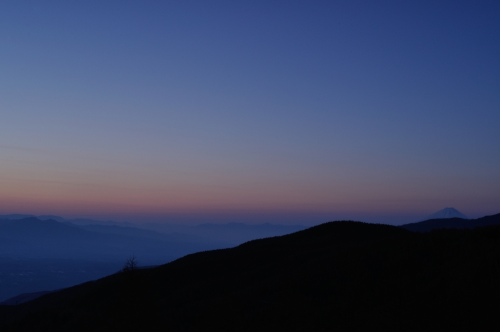 夜明けとともに現る