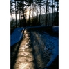 shadow