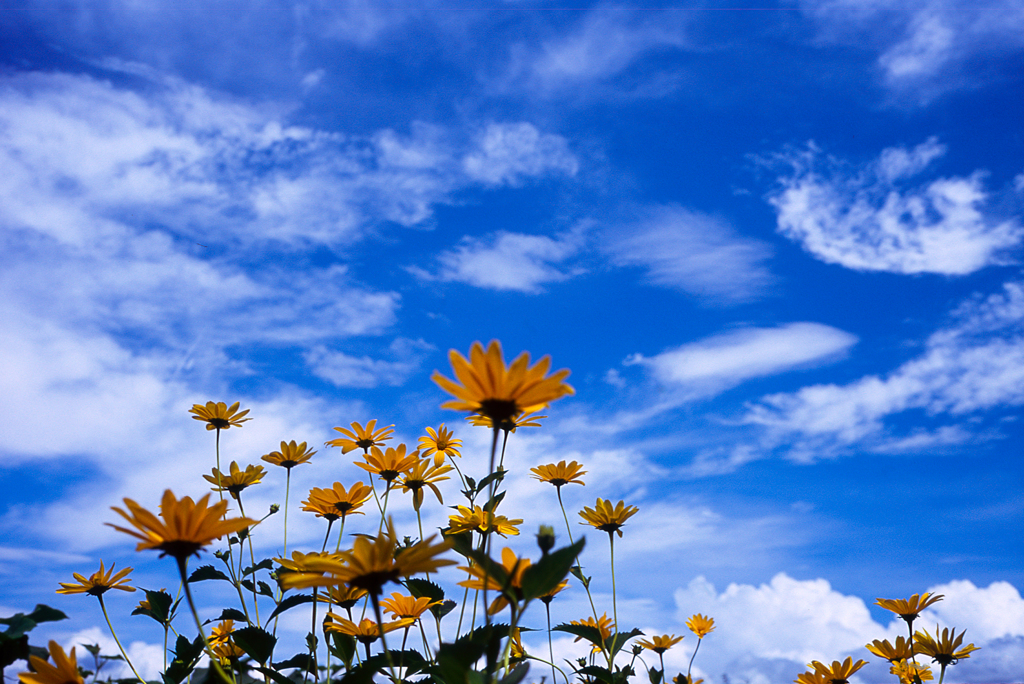 あの時の空、、