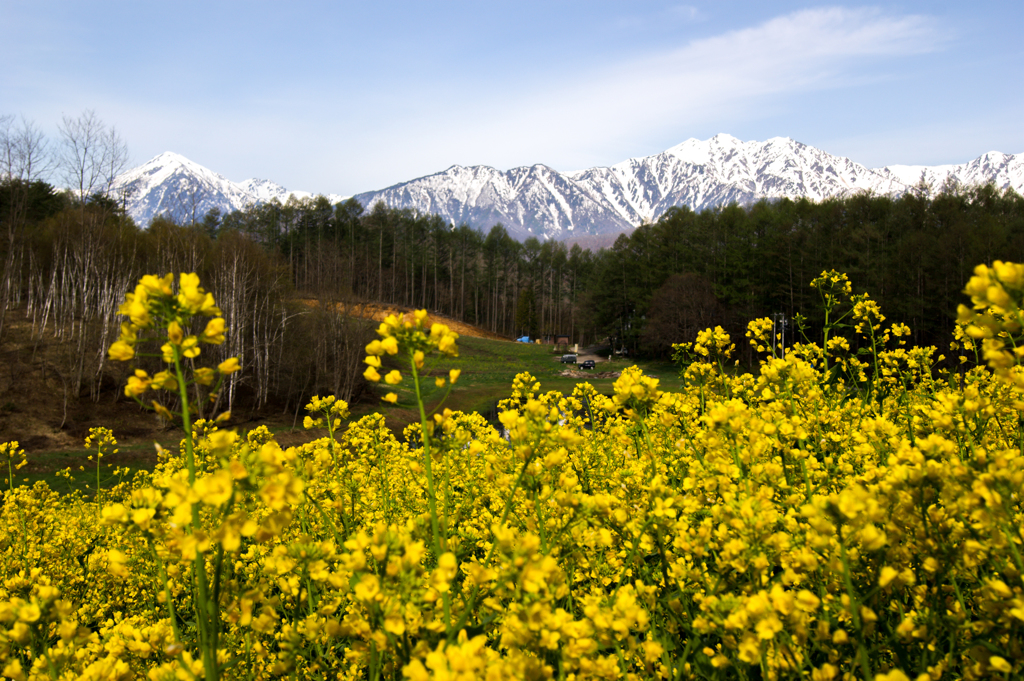 中山高原