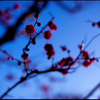 記憶 -春- 7