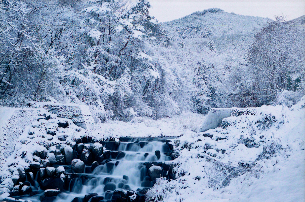 雪景