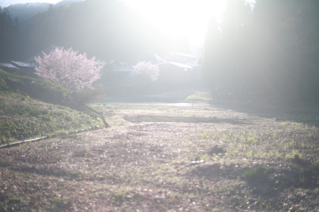 山里の春　#2