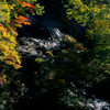 奥裾花渓谷2012秋