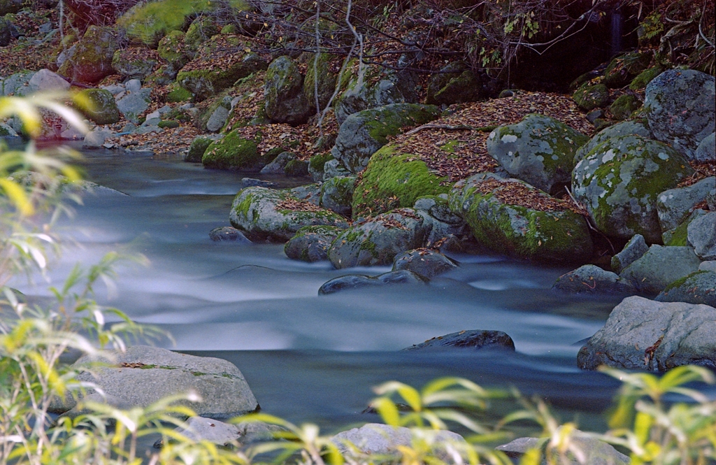 草間から