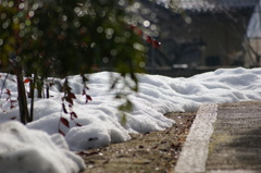 雪解けの頃