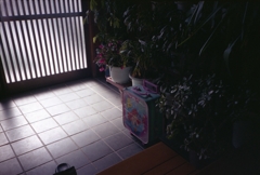 お帰り！