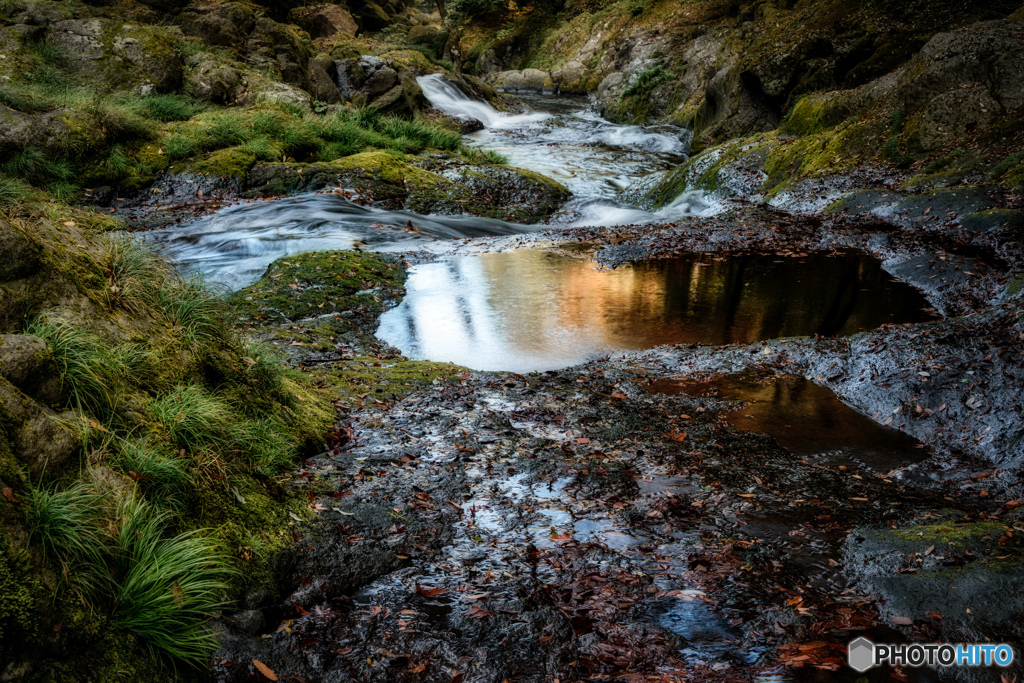 2019 秋 菊池渓谷 #12