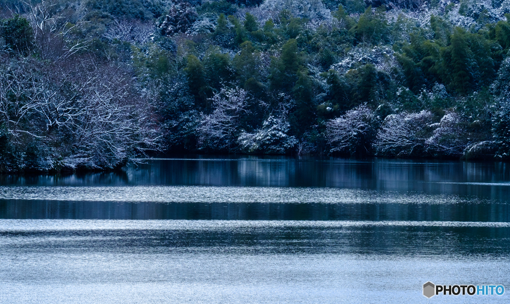 近所の池にて #8