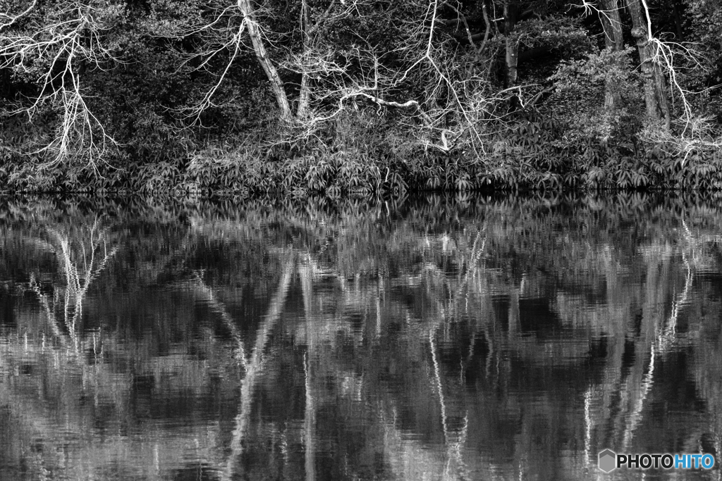 Reflection（モノクロ）#2