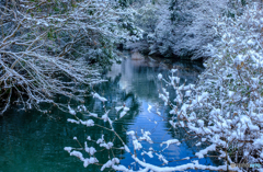 近所の池にて