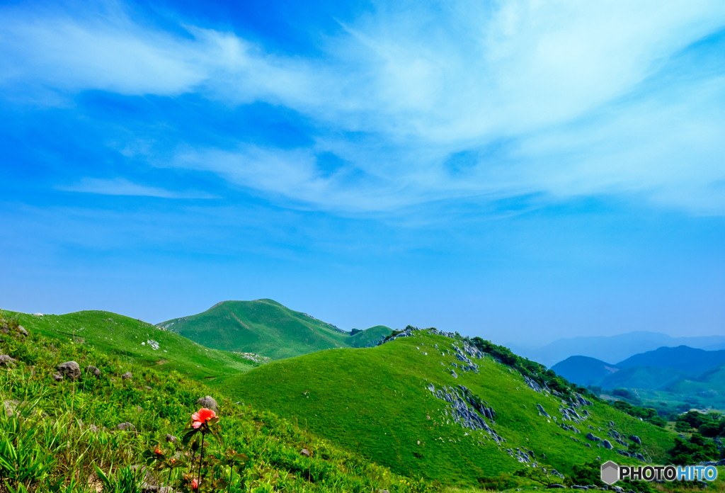 初夏の平尾台