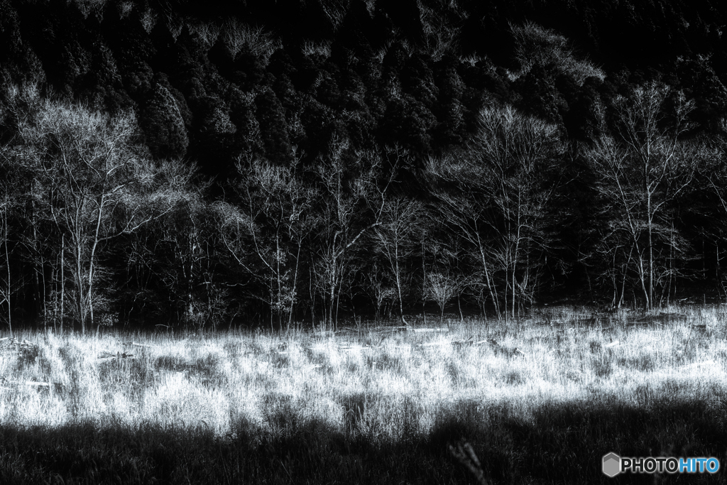 冬の日差し #11 B&W