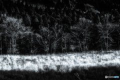 冬の日差し #11 B&W