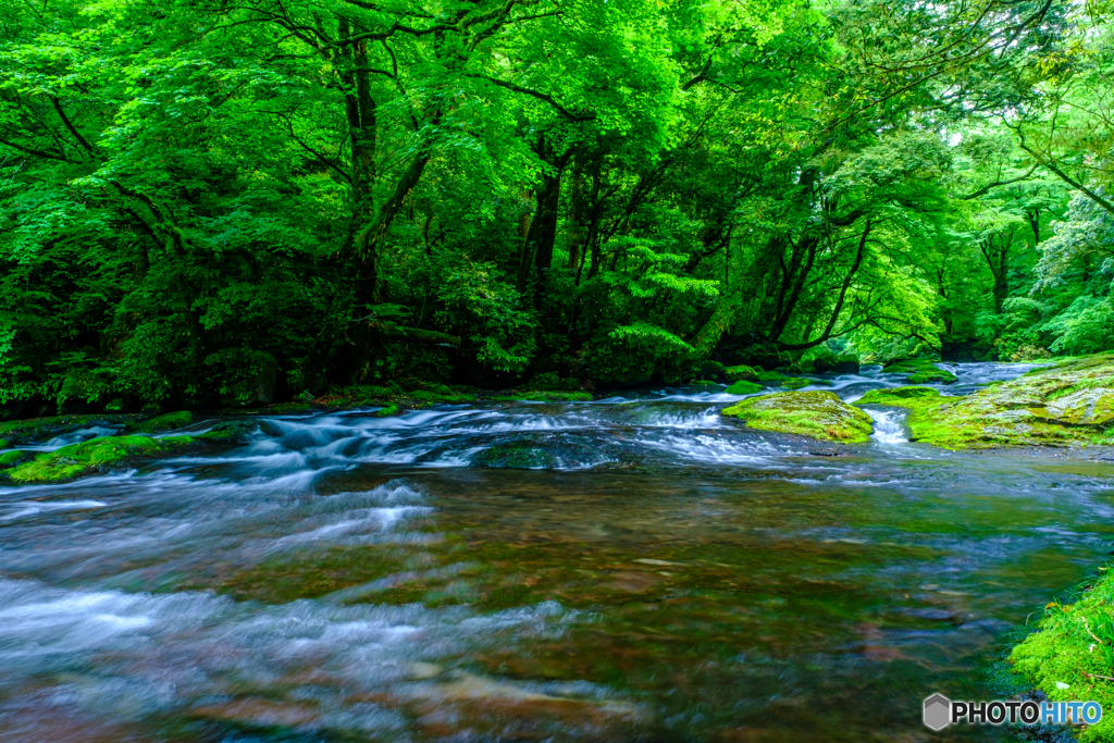 菊池渓谷復活 #6