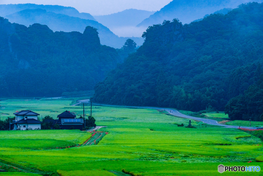 山里の田園