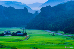 山里の田園