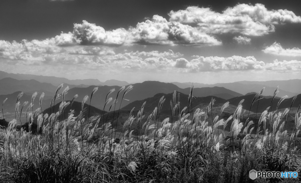 2019 初秋の平尾台 B&W #1