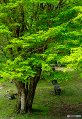 ベンチのある光景