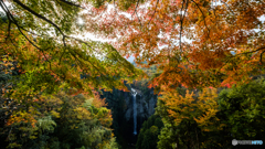 福貴野の滝（秋）