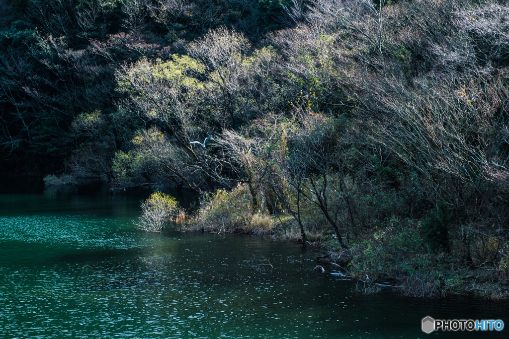 初冬の湖畔