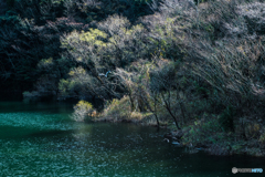 初冬の湖畔