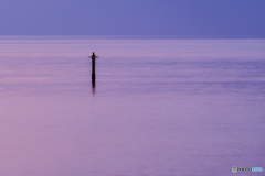 夜明けの海