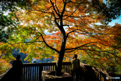 福貴野の滝（秋）展望台