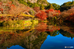 2019 秋 佐賀県御船山楽園 #2