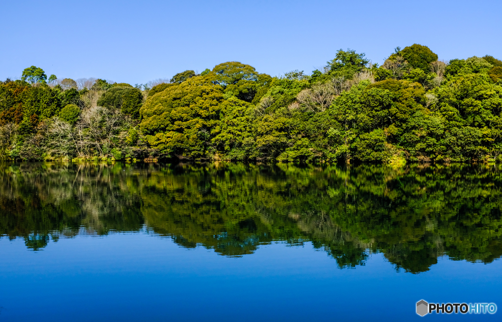 御所ヶ谷住吉池公園にて #2