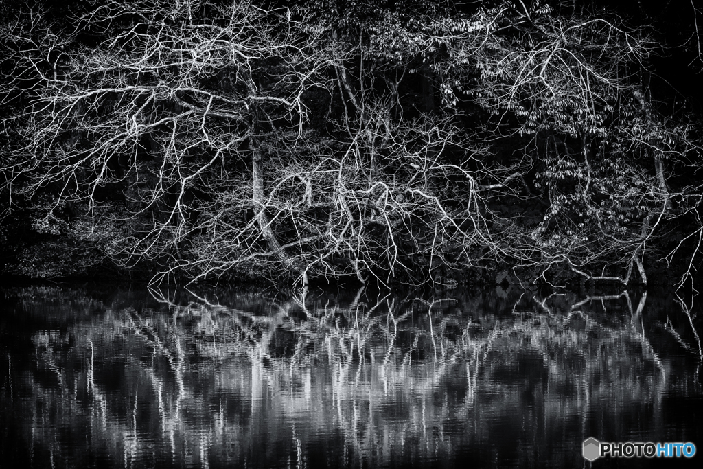 Reflection（モノクロ）#3