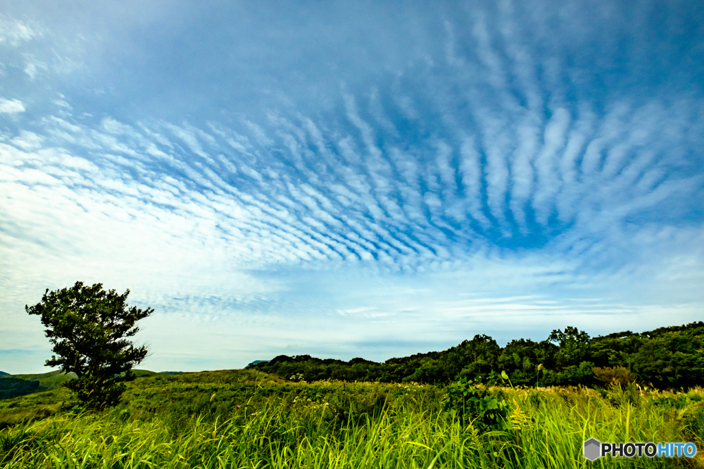 平尾台 秋の空