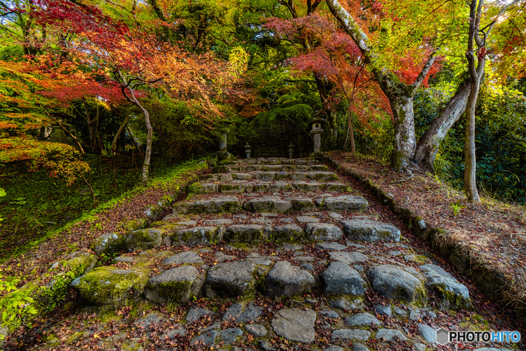 2019 秋　秋月城跡 #8