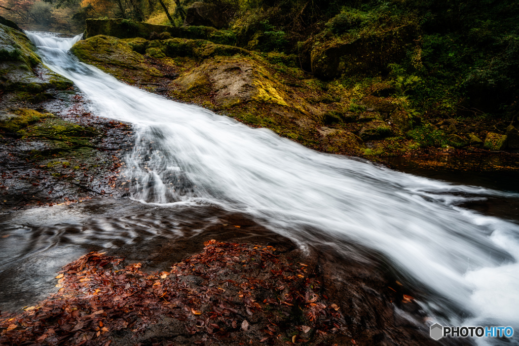 2019 秋 菊池渓谷 #15