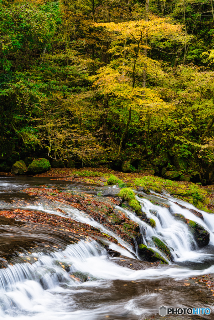 2019 秋 菊池渓谷 #22