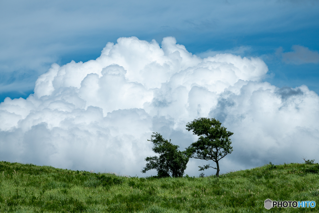 九月の秋吉台 湧き上がる雲