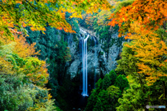 福貴野の滝（秋）#2