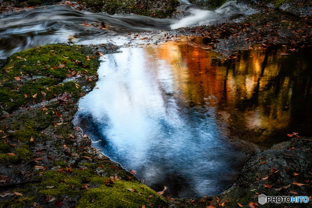 2019 秋 菊池渓谷 #13