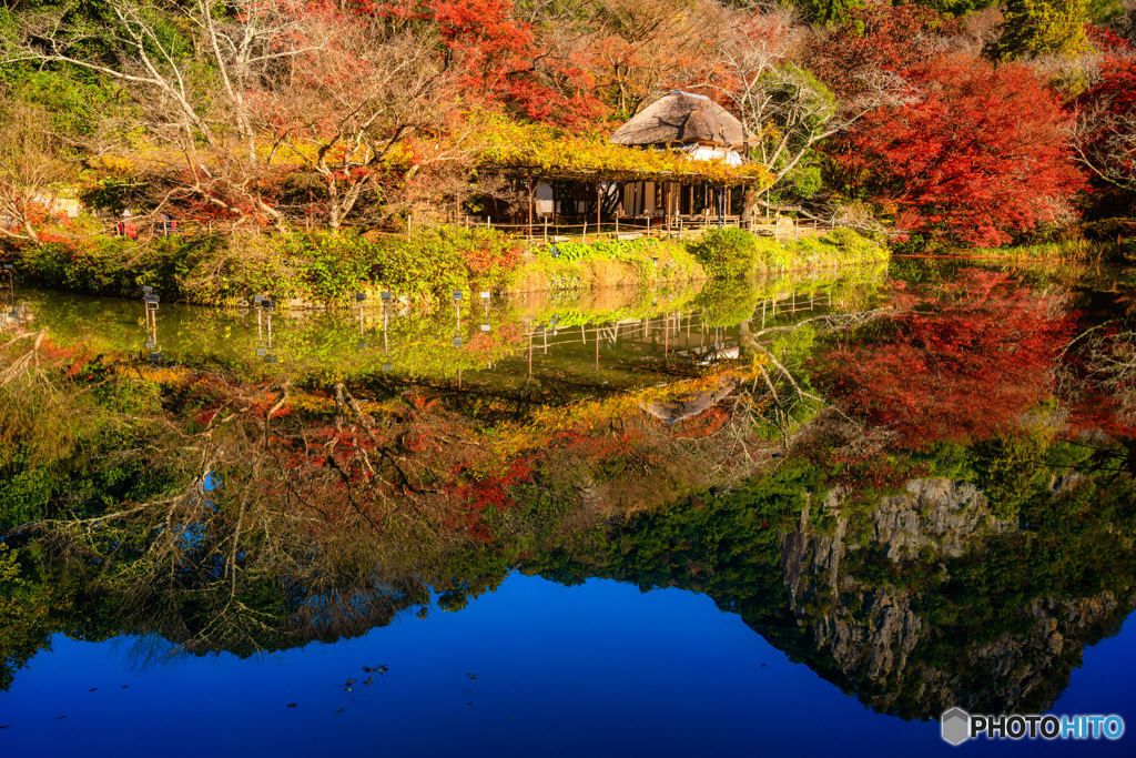 2019 秋 佐賀県御船山楽園 #3