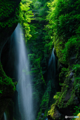 由布川峡谷（１）